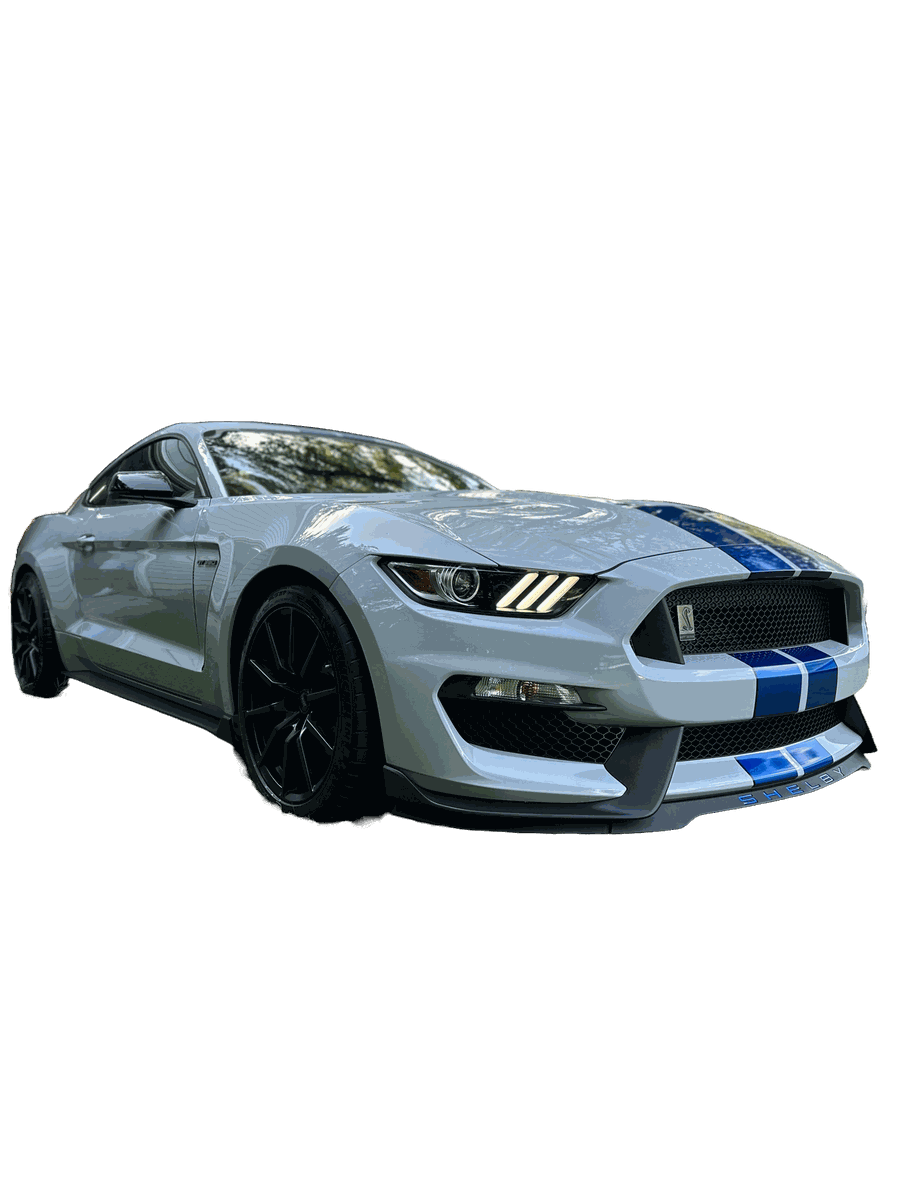 Beach Dawgs & Co. vehicle detailing portfolio