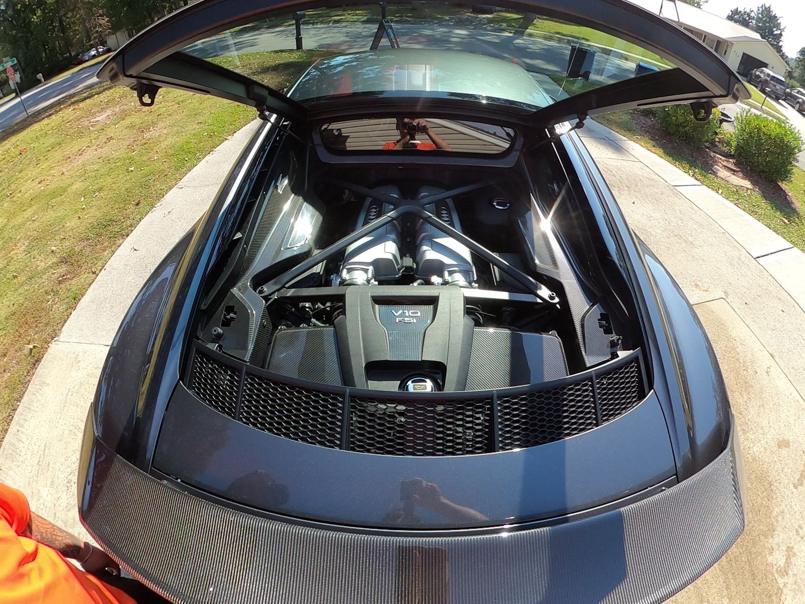 Beach Dawgs & Co. vehicle detailing portfolio