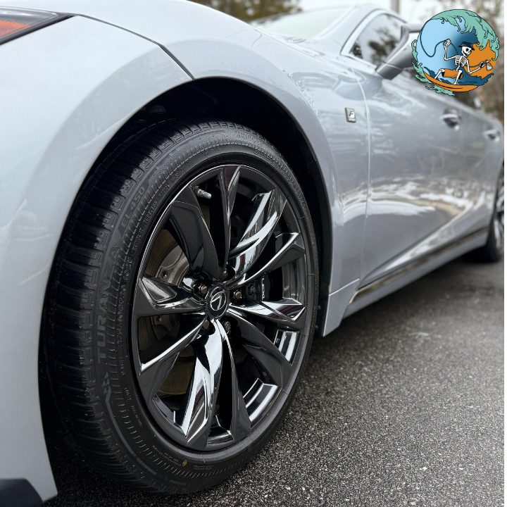 Beach Dawgs & Co. vehicle detailing portfolio