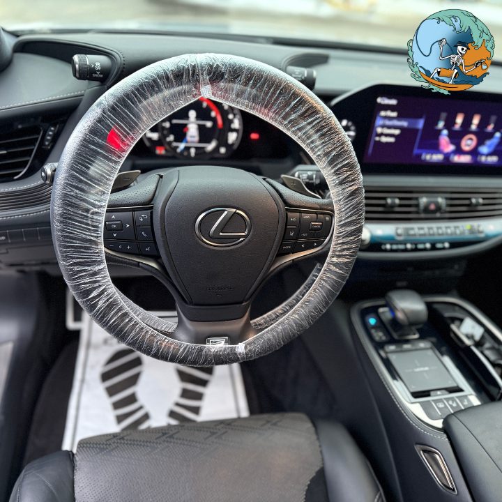 Beach Dawgs & Co. vehicle detailing portfolio