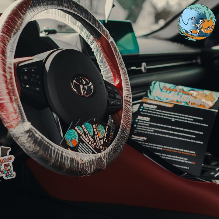 Beach Dawgs & Co. vehicle detailing portfolio